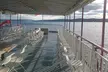 Entry to Taylor Swift Tribute Cruise by The Canandaigua Lady on June 7th/July 25 (6:30-8:30 pm) (Up to 46% Off) - Second Medium