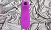 10 Speeds Clitoral Suction Vibrator Oral Kissing Nipples Sucker Climaxer Sex Toy