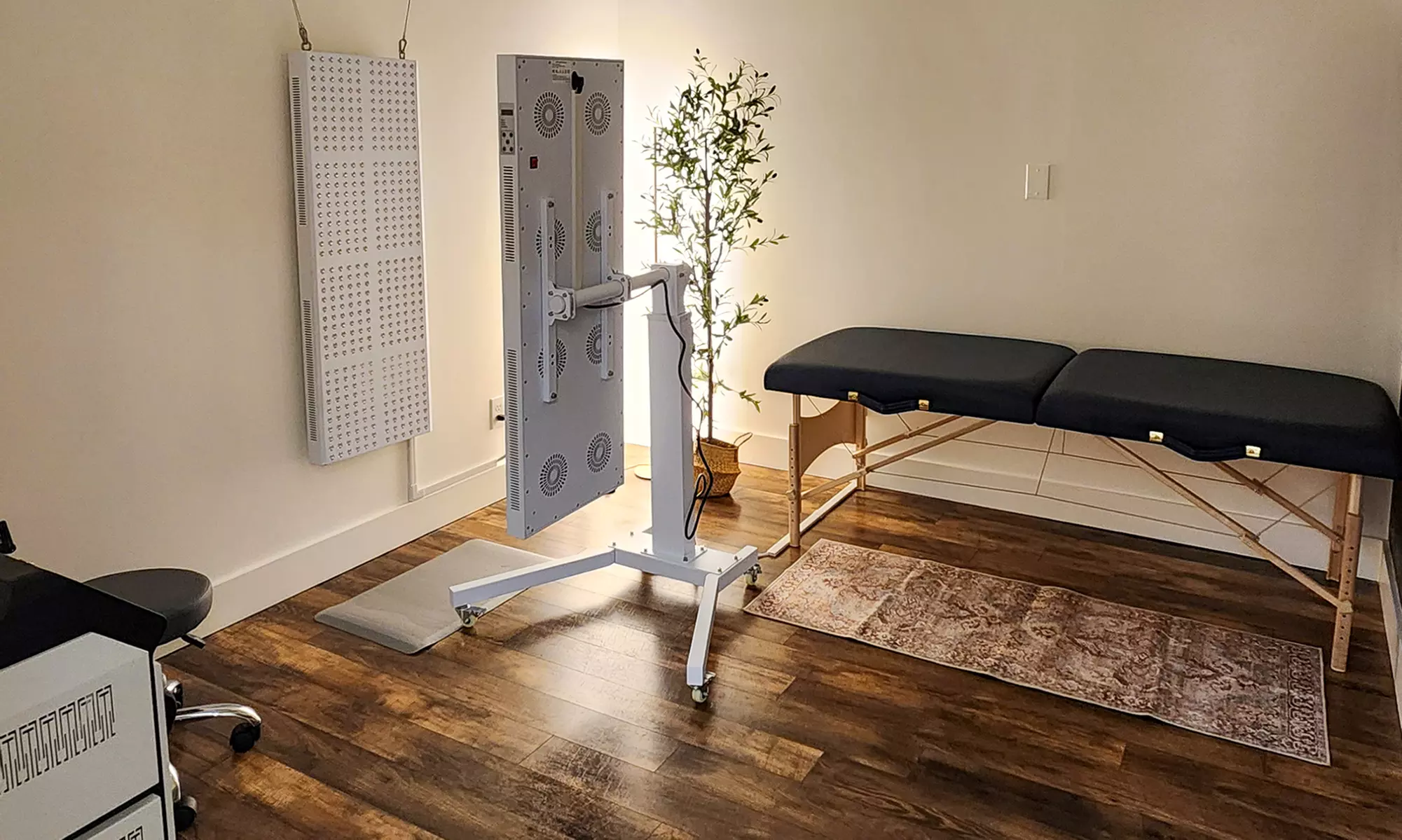 Cryo, Red Light, Infrared and Compression BootChair, or All in One Day