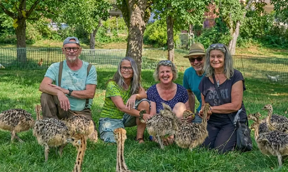 Offene Führung auf der Straußenfarm für Erwachsene und Kinder