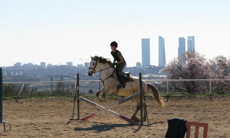 Image 10: Paseo a caballo con todo el material incluido para 1 o 2 personas