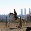 Image 10: Paseo a caballo con todo el material incluido para 1 o 2 personas