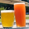 Image 3: Craft Beer Flight or $25/$50 Brewery Credit
