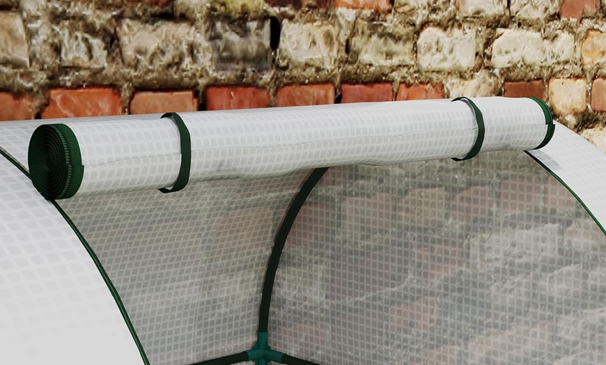 Image 20: Outsunny Mini Greenhouse