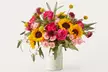 ProFlowers Radiantly Fresh Flowers & Gifts with Same Day Delivery Up to 60% Off - Second Medium