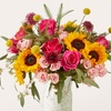 Image 3: ProFlowers Same Day Vibrant Flowers & Gifts Up to 64% Off