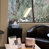 Image 2: Up to 37% Off on Injection - Botox at Kristopher M Day, PLLC