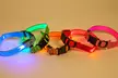 LED Dog Collars With Three Light Settings In Choice of Colour for £1.99 - Image 3
