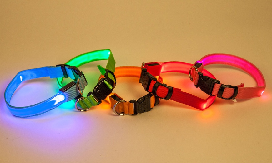 Image 3: LED Dog Collars