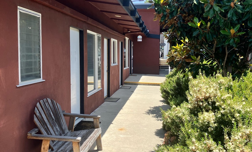 Image 4: Acupuncture & Cupping Therapy