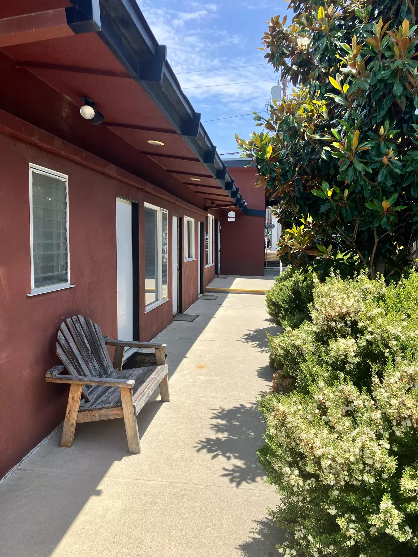 Acupuncture & Cupping Therapy