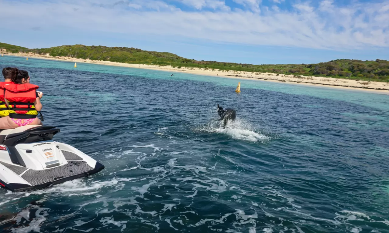 60 or 90-Minute Jet Ski Eco or Blast Tour - Solo Rider or Twin Share