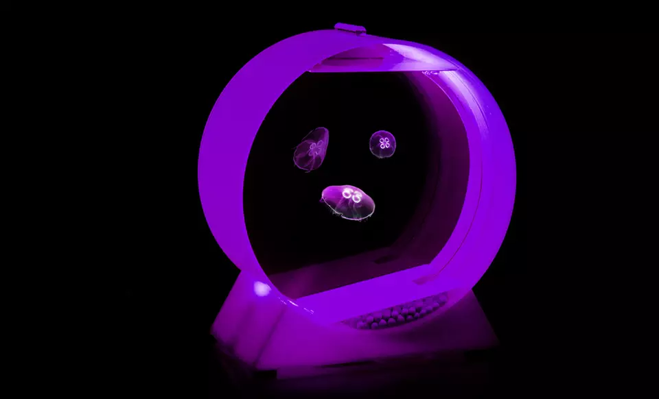 Desktop Jellyfish Kit with Tank, Three Jellyfish, and Food - Second Medium