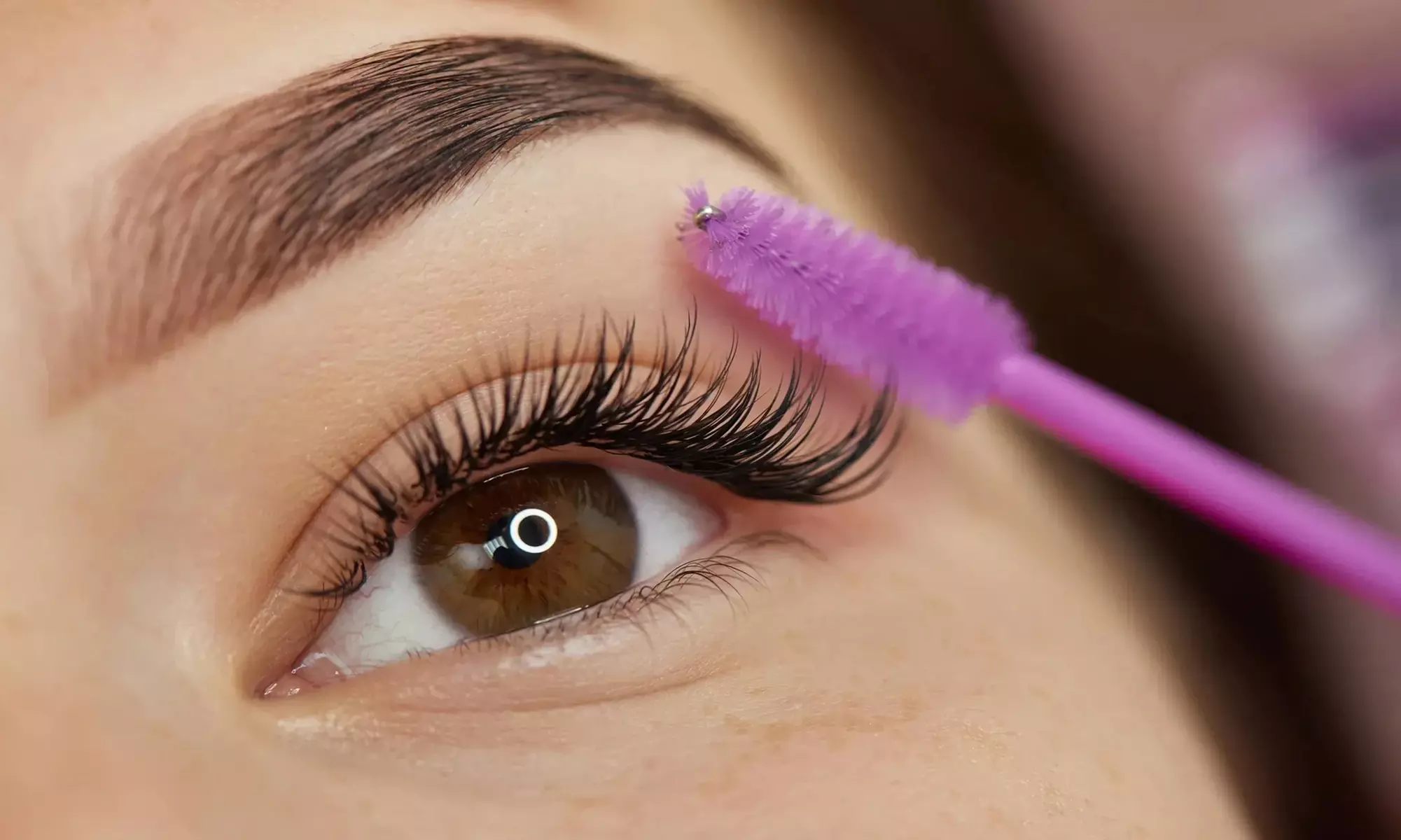 Transform Your Look with Brow Wax & Lamination or/& Lash Lift and Tint