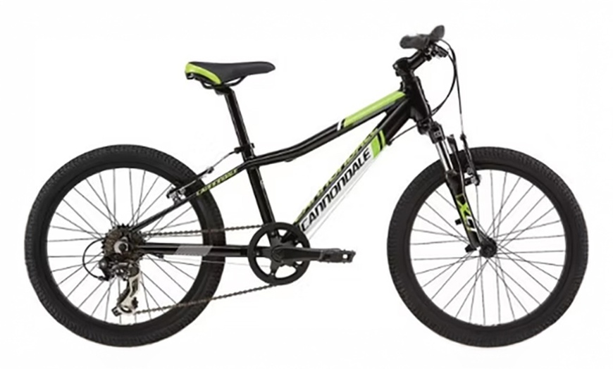 Image 2: Explore NYC with a Bike Rental for One or Two!