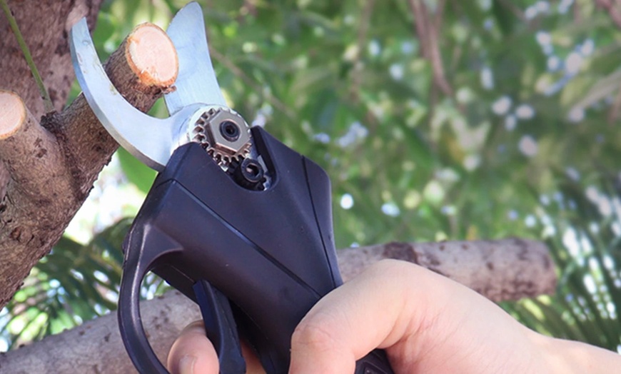 Image 13: Sélection d'outils de coupe électriques