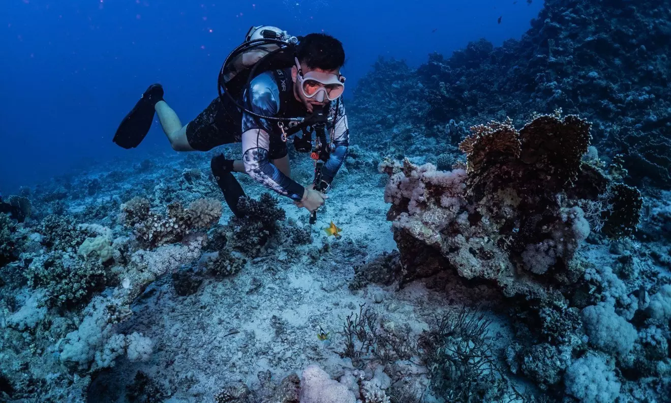 Bautizo de buceo o excursión snorkel con fotos