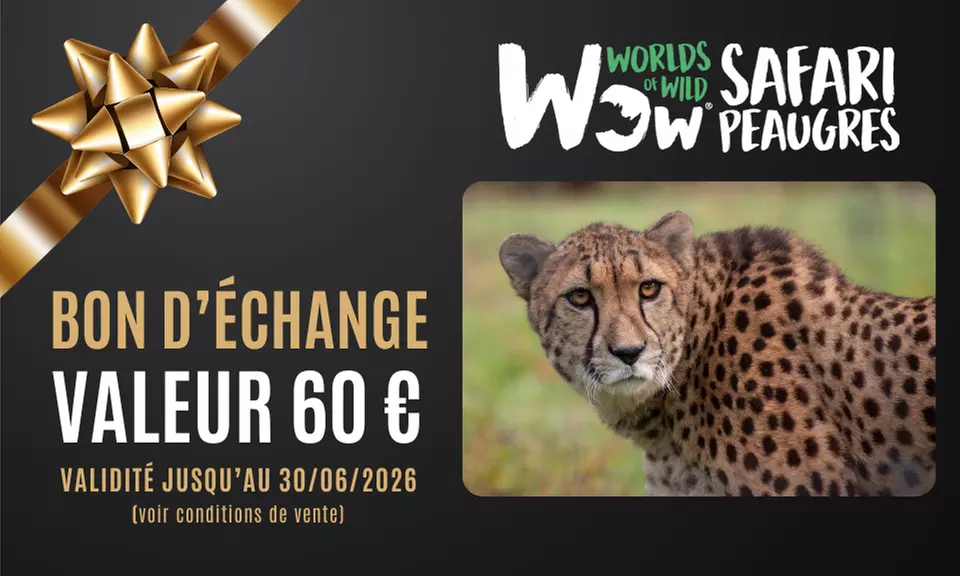 Carte-cadeau Safari Peaugres : offrez une aventure sauvage