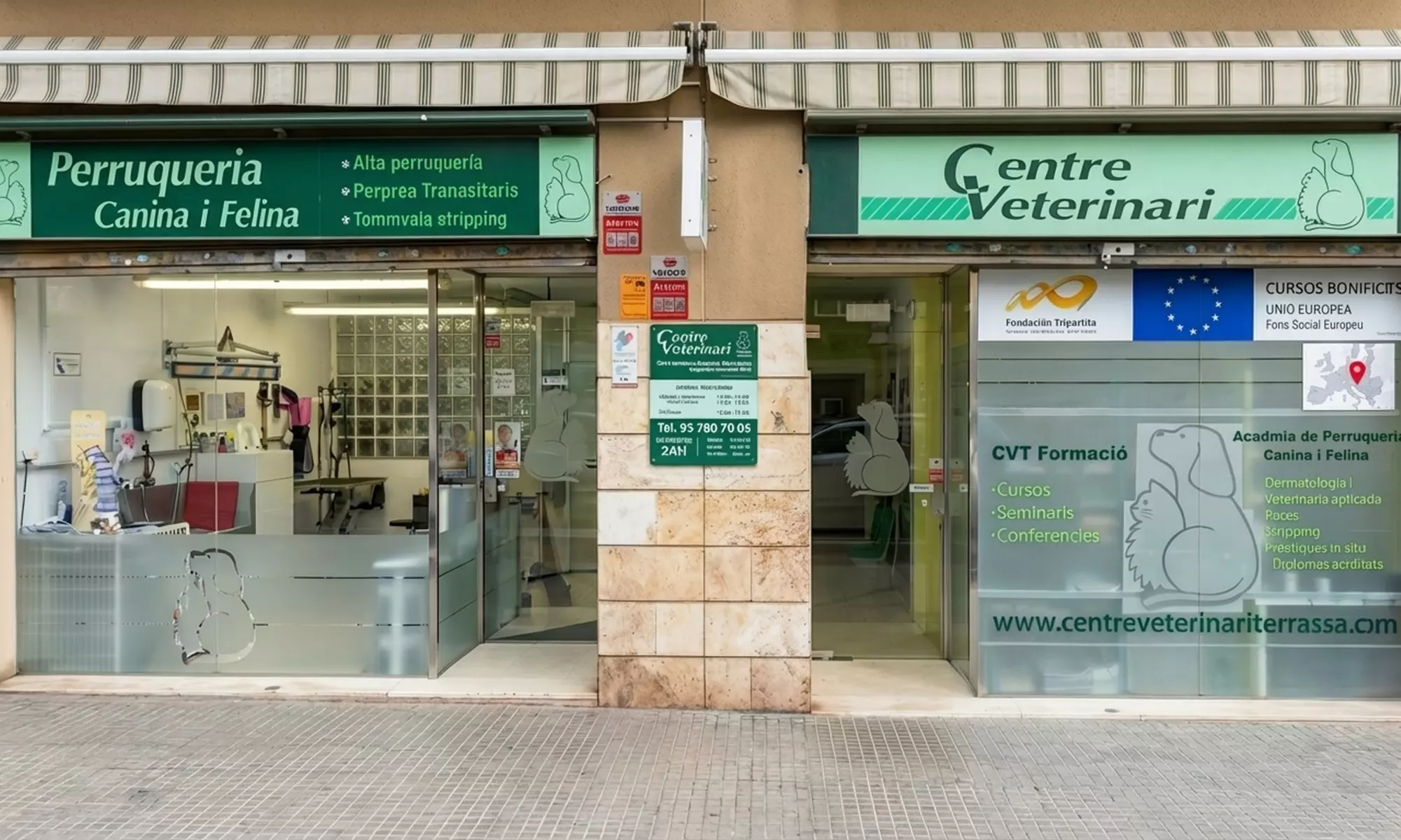 Higiene bucal para un perro o gato de hasta 30 kg, con diagnóstico