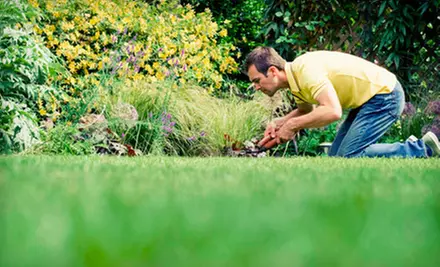 Lawn Aeration or Lawn Rolling from Tuff Turf Molebusters (Up to 58% Off) - Primary Image