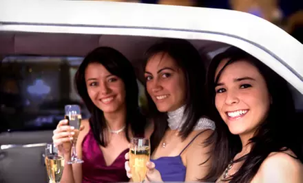 $195 for a Three-Hour Private Chauffeured Wine Tour for Up to Eight from Skyhawk Limousine ($395 Value) - Primary Image