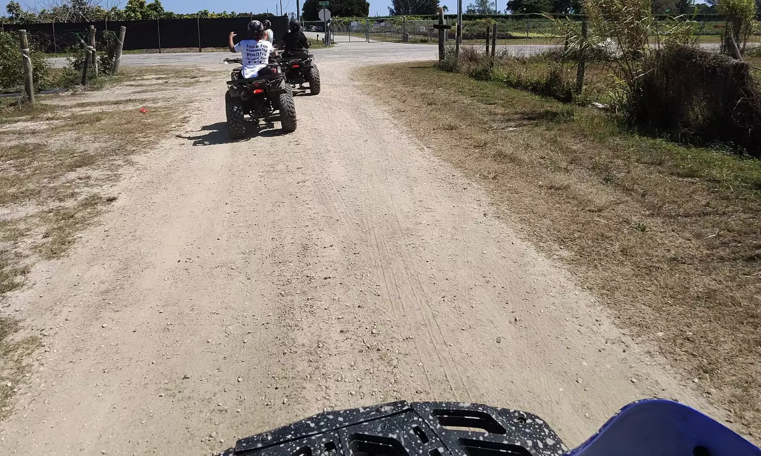 Discover Miami's Wild Side With Guided ATV Tours