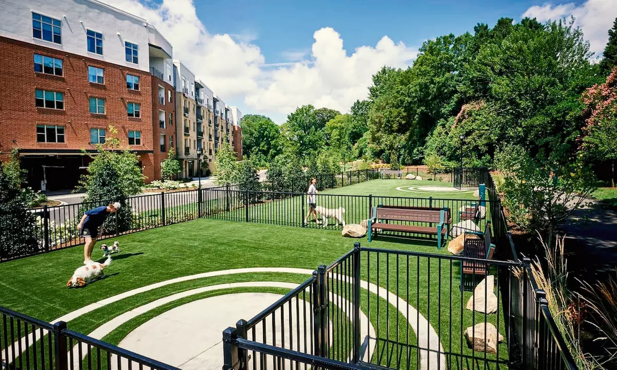 In-Person Consultation/Deep Cleaning: Pet Waste Removal +Sanitization