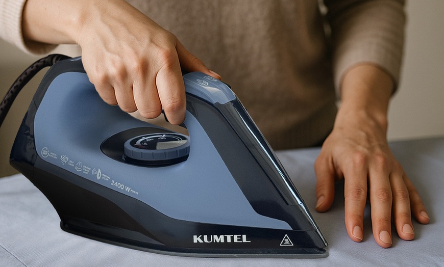 Image 1: Stoomstrijkijzer met aparte boiler