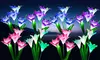 2-8Pcs Lily Flower Solar LED Stake Lamp Lights for Garden, Patio, or Backyard