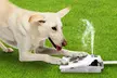 iMounTEK Outdoor Step-On Dog Water Fountain Pet Water Dispenser - Second Medium