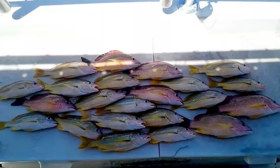 Catch and Keep Fish on a Waikiki Fishing Tour for One Child or Adult