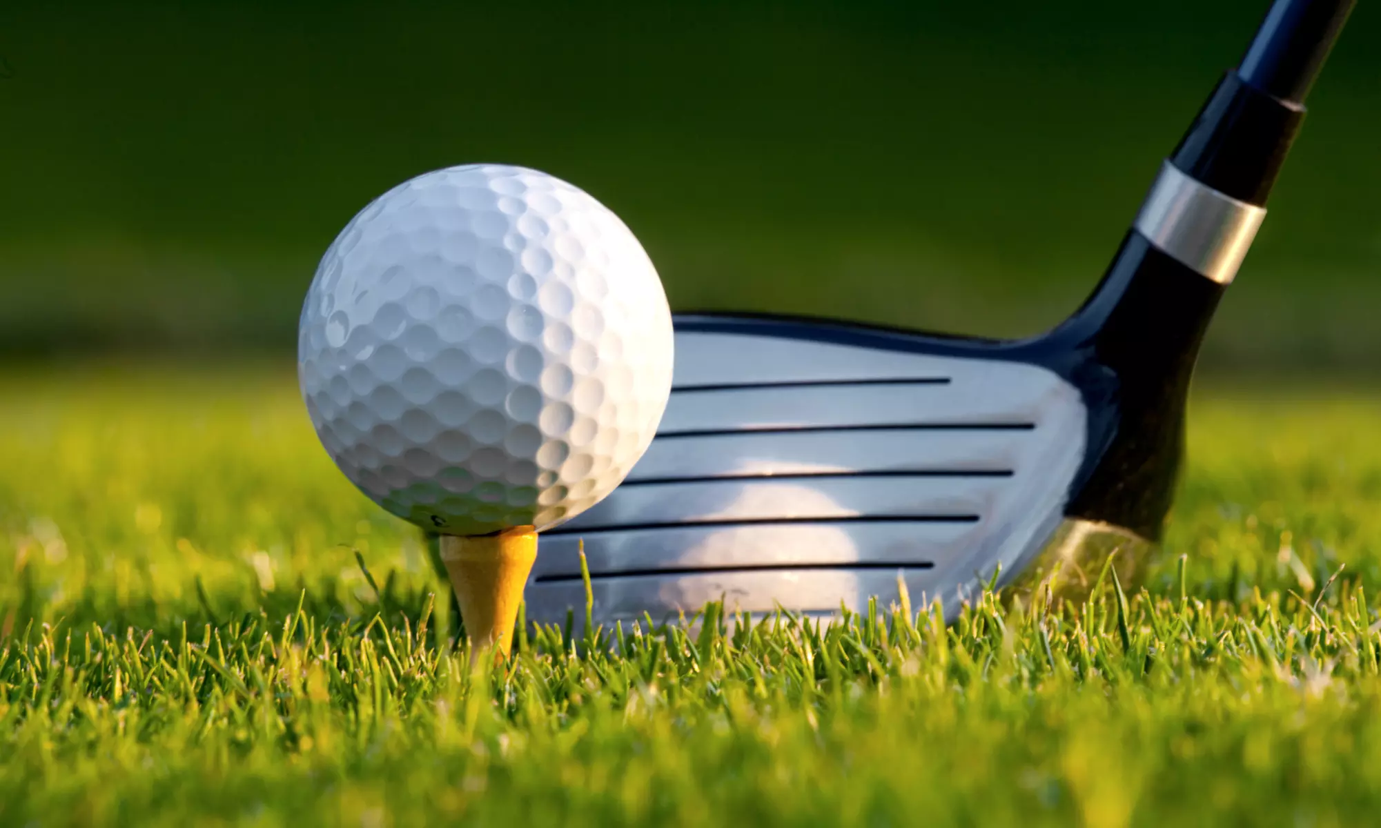 18-Hole Round of Golf Including Cart and Range Balls for Two or Four at Wellington Golf Club (Up to 49% Off) - Primary Image