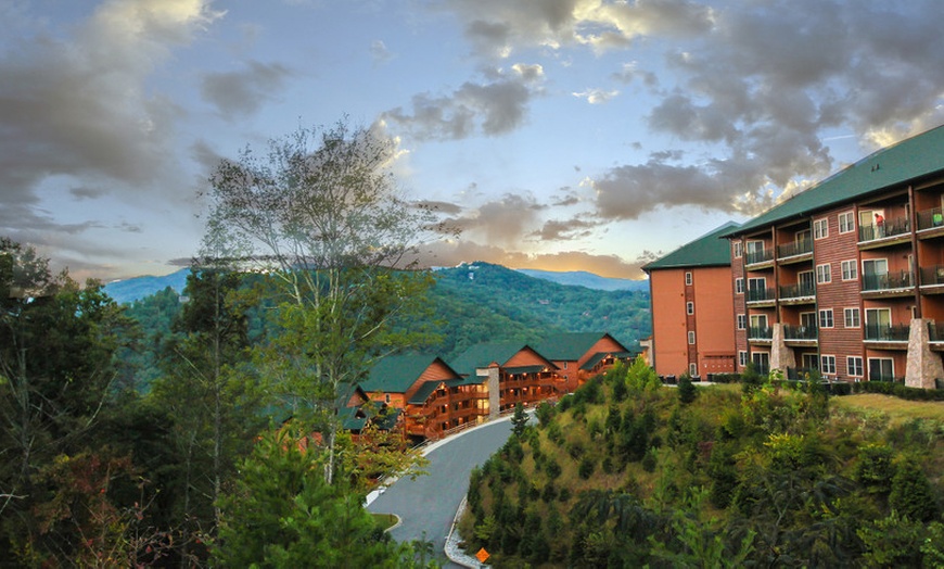 Image 39: Resort With Attractions Near Great Smoky Mountains National Park