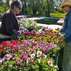 Image 8: General Admission to 40-Acre Arboretum & Botanic Gardens in Waterloo
