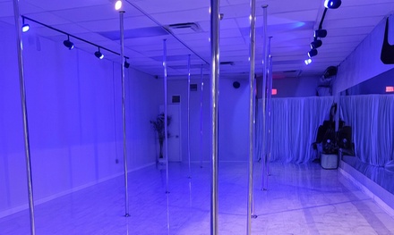 1 Intro to Pole Fitness Class - Elevate You Pole Fitness and Aerobic Studio Voorhees Township, New Jersey