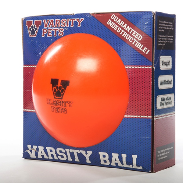 varsity ball for dogs