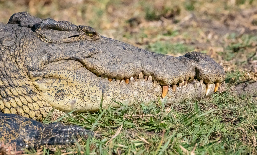 Image 48: Zimbabwe: 7-Night Yoga & Safari Retreat