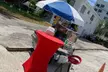 Hot Dogs for 1 to 8 People: 1 Hot Dog, Bag of Chips, and Drink Each at Johnny Dogs And Catering (Up to 42% Off) - Second Medium