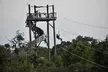 Full Zip Tour Package for 2, 3, or 4 Adventurers - An Outdoor Thrill Ride at Zip Lost Pines w/ savings Up to 27% Off - Second Medium