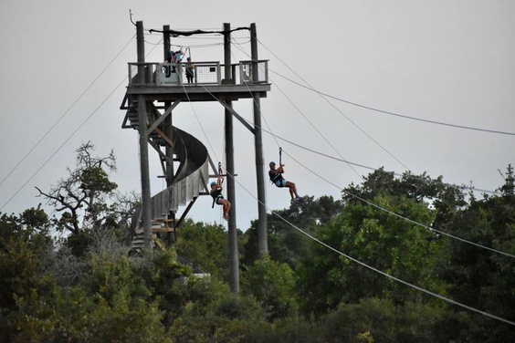 What to expect media