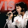 Image 1: 2 Tickets für „ELVIS – Das Musical“ von Februar bis April 2026