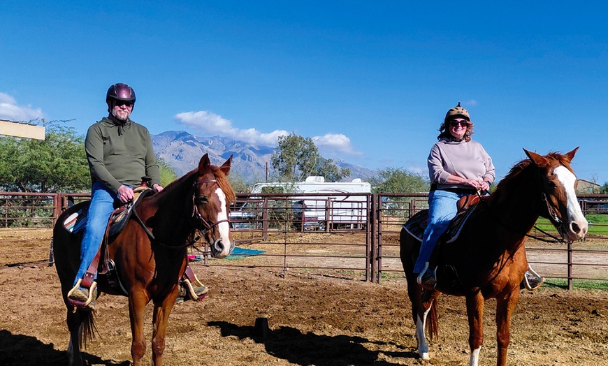 Image 5: Fun Horse Riding Lesson or Summer Horse Camp