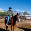 Image 5: Fun Horse Riding Lesson or Summer Horse Camp