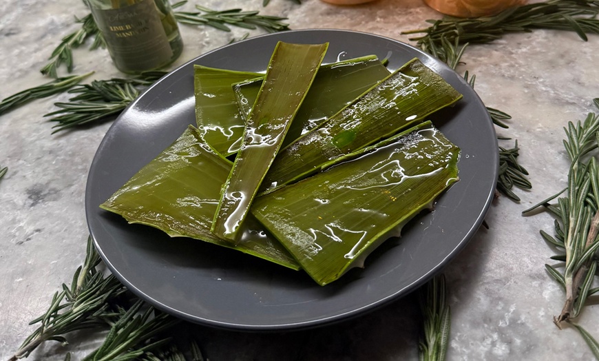 Image 3: Japanese Head Spa Packages: Cleanse, Grow, Shine Naturally
