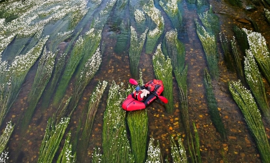 Image 17: Glissez au cœur de la nature : la forêt brabançonne en packraft