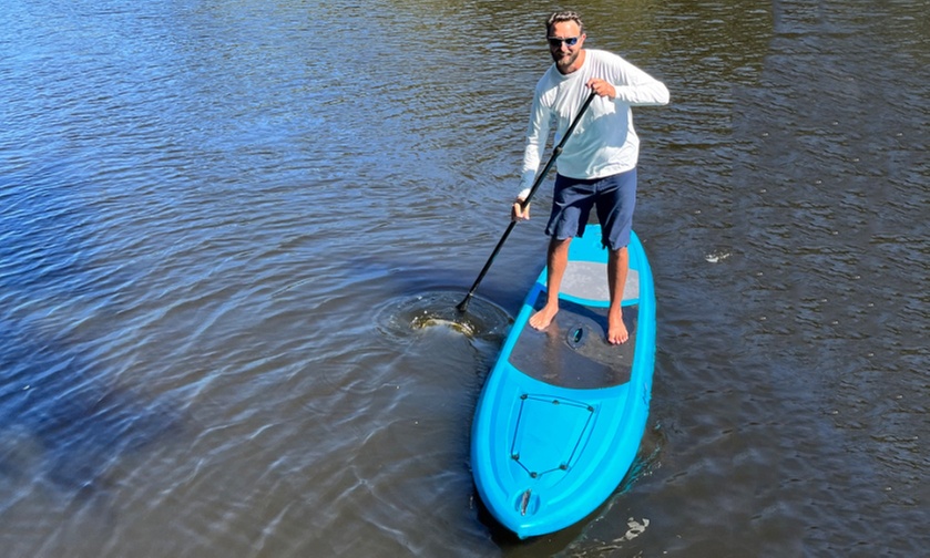 Explore the Manatee River on a 2-Hour Paddleboard Tour