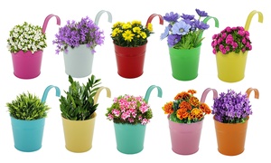  Daniel James Products Set of 10 Metal Hanging Flower Pots 