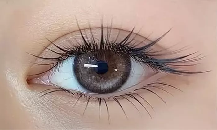 Bold Eyes Awaits: Full Set of Natural Wispy Lashes at CC Blinks