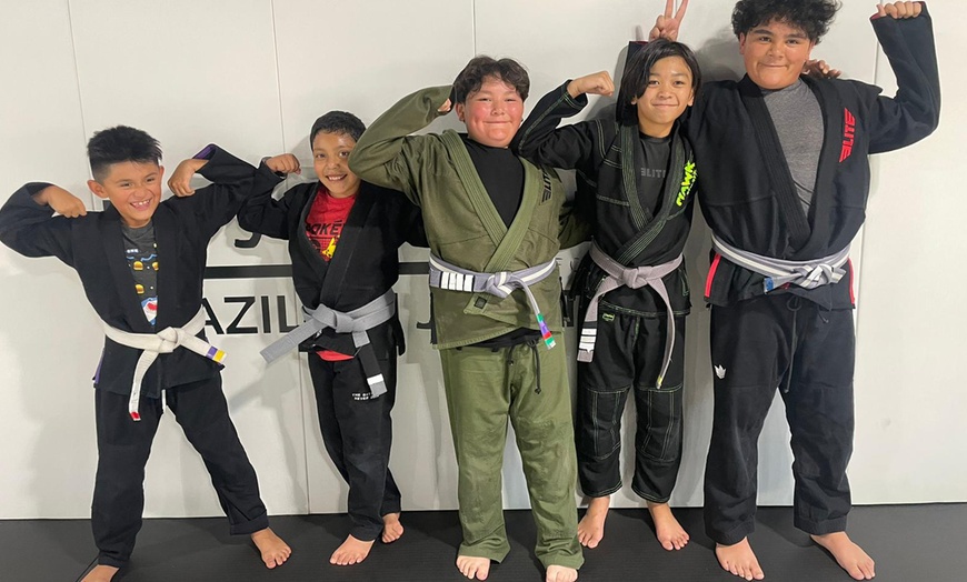 Image 1: Six Weeks of Brazilian Jiu-Jitsu Classes for One Adult or One Child 
