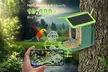 HD Solar Bird Feeder Camera with Colour Night Vision - Image 6